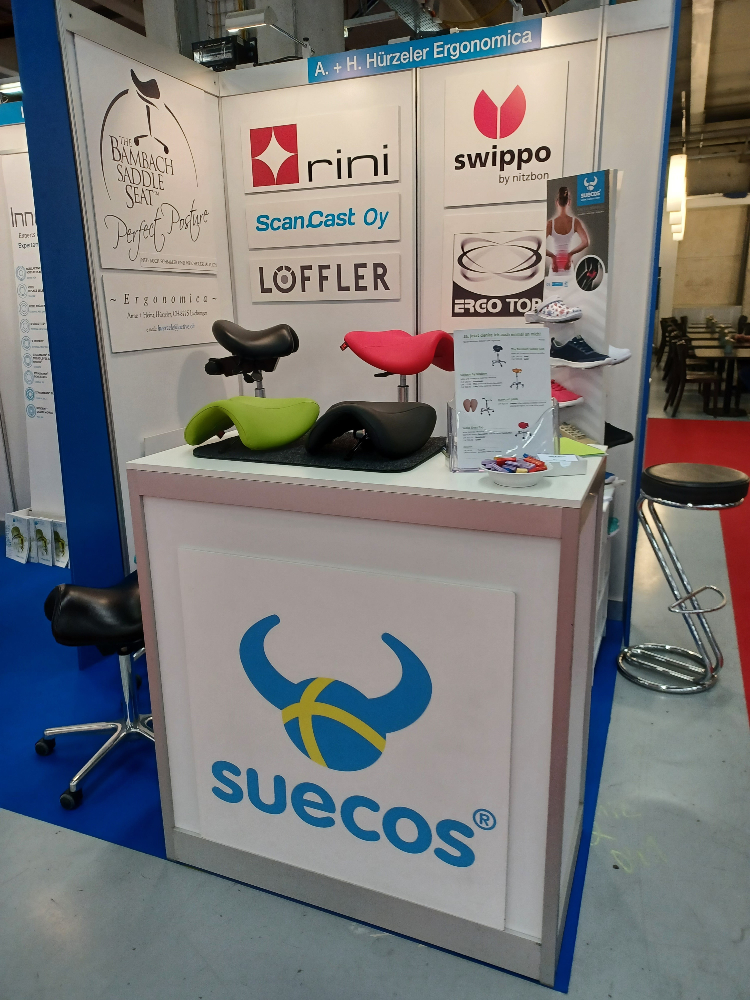 Professioneller ergonomischer Arbeitsplatz im Schweizer Atelier-Stil